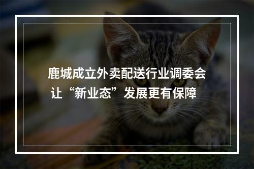 鹿城成立外卖配送行业调委会 让“新业态”发展更有保障