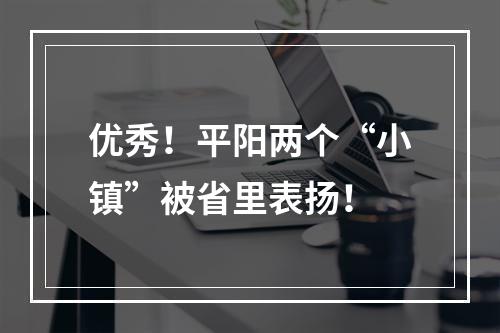 优秀！平阳两个“小镇”被省里表扬！
