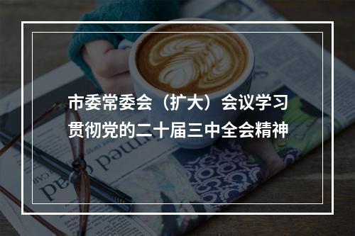 市委常委会（扩大）会议学习贯彻党的二十届三中全会精神