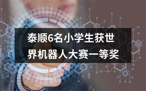 泰顺6名小学生获世界机器人大赛一等奖