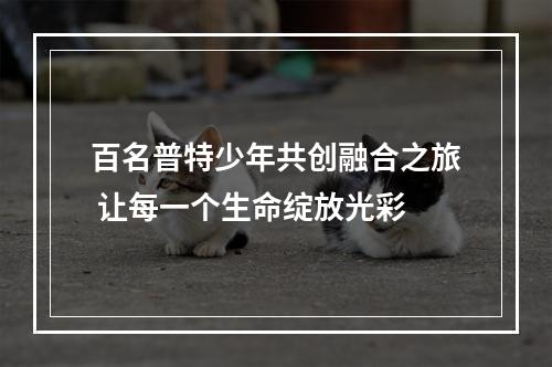 百名普特少年共创融合之旅 让每一个生命绽放光彩