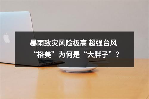 暴雨致灾风险极高 超强台风“格美”为何是“大胖子”？