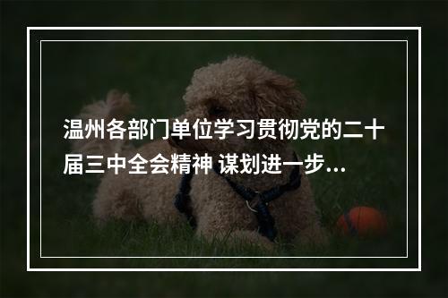 温州各部门单位学习贯彻党的二十届三中全会精神 谋划进一步全面深化改革的温州路径