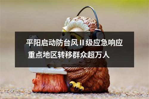 平阳启动防台风Ⅱ级应急响应 重点地区转移群众超万人