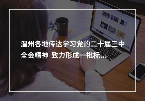 温州各地传达学习党的二十届三中全会精神  致力形成一批标志性的实践创新和制度成果