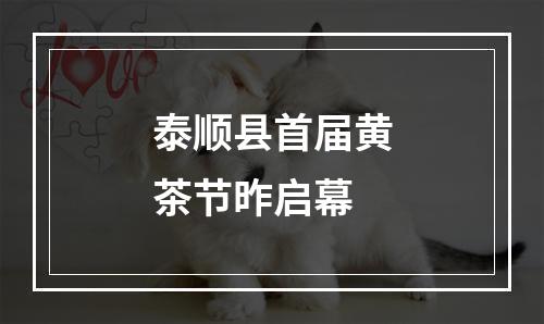 泰顺县首届黄茶节昨启幕