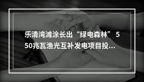 乐清湾滩涂长出“绿电森林” 550兆瓦渔光互补发电项目投运