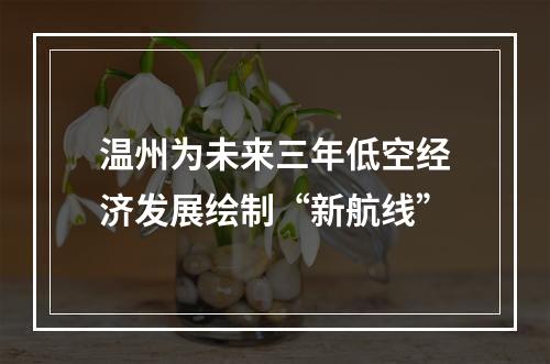 温州为未来三年低空经济发展绘制“新航线”