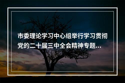 市委理论学习中心组举行学习贯彻党的二十届三中全会精神专题学习会