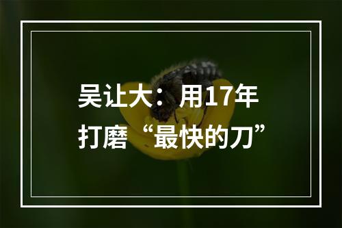 吴让大：用17年打磨“最快的刀”