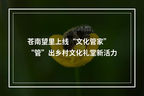 苍南望里上线“文化管家”  “管”出乡村文化礼堂新活力