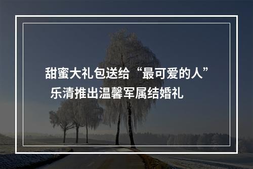 甜蜜大礼包送给“最可爱的人”  乐清推出温馨军属结婚礼