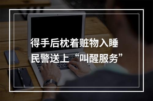 得手后枕着赃物入睡 民警送上“叫醒服务”