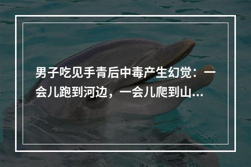 男子吃见手青后中毒产生幻觉：一会儿跑到河边，一会儿爬到山上