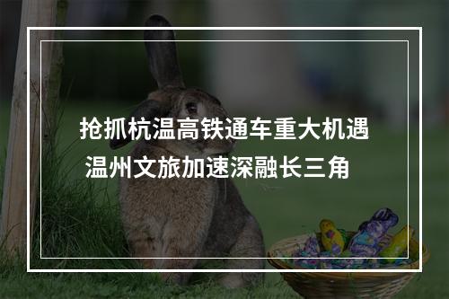 抢抓杭温高铁通车重大机遇 温州文旅加速深融长三角