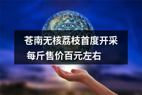 苍南无核荔枝首度开采 每斤售价百元左右