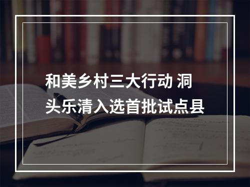 和美乡村三大行动 洞头乐清入选首批试点县