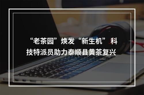 “老茶园”焕发“新生机” 科技特派员助力泰顺县黄茶复兴