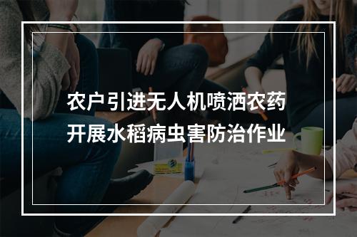 农户引进无人机喷洒农药 开展水稻病虫害防治作业