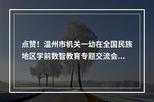 点赞！温州市机关一幼在全国民族地区学前数智教育专题交流会上亮相