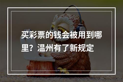 买彩票的钱会被用到哪里？温州有了新规定
