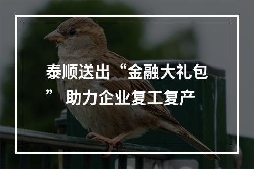 泰顺送出“金融大礼包” 助力企业复工复产