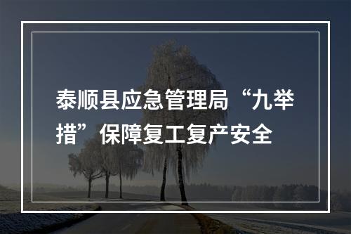 泰顺县应急管理局“九举措”保障复工复产安全