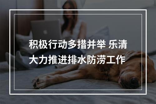 积极行动多措并举 乐清大力推进排水防涝工作