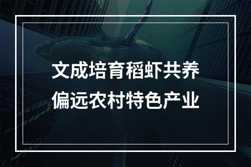 文成培育稻虾共养偏远农村特色产业