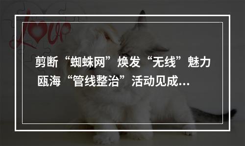剪断“蜘蛛网”焕发“无线”魅力 瓯海“管线整治”活动见成效