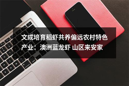 文成培育稻虾共养偏远农村特色产业：澳洲蓝龙虾 山区来安家