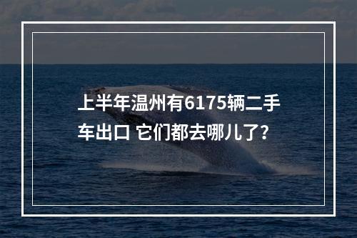 上半年温州有6175辆二手车出口 它们都去哪儿了？