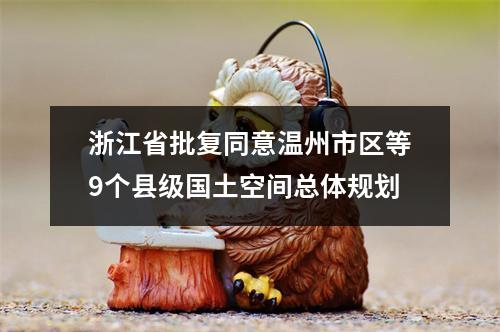 浙江省批复同意温州市区等9个县级国土空间总体规划