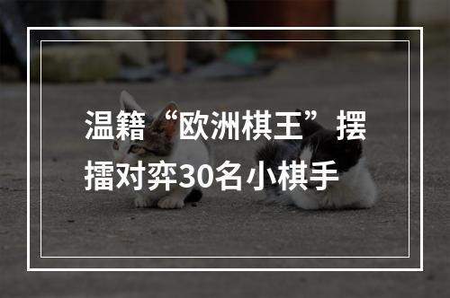 温籍“欧洲棋王”摆擂对弈30名小棋手