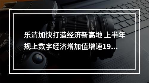乐清加快打造经济新高地 上半年规上数字经济增加值增速19.6%