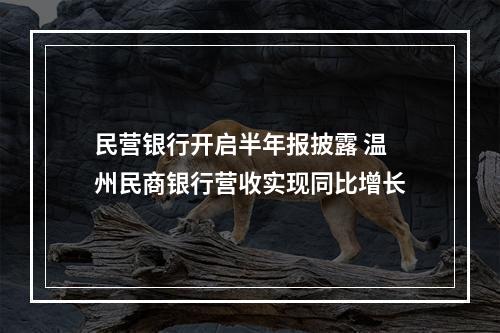 民营银行开启半年报披露 温州民商银行营收实现同比增长