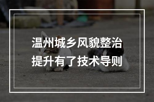 温州城乡风貌整治提升有了技术导则