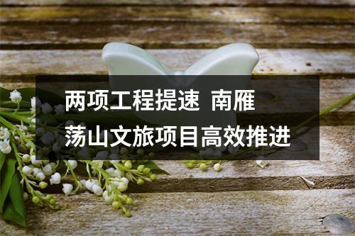 两项工程提速  南雁荡山文旅项目高效推进