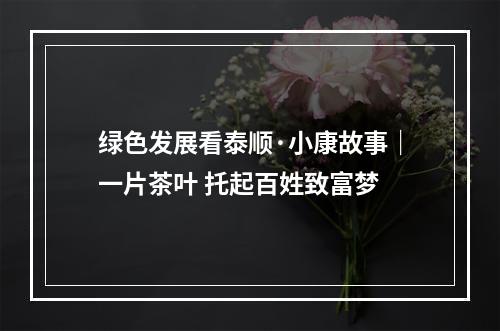 绿色发展看泰顺·小康故事｜一片茶叶 托起百姓致富梦
