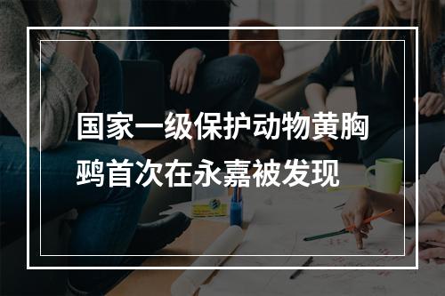 国家一级保护动物黄胸鹀首次在永嘉被发现