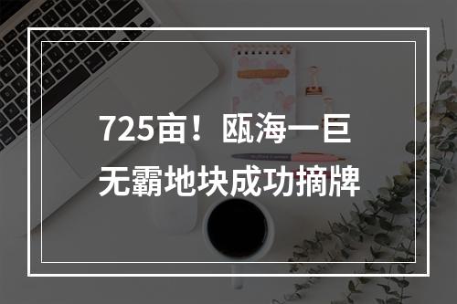 725亩！瓯海一巨无霸地块成功摘牌