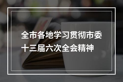 全市各地学习贯彻市委十三届六次全会精神