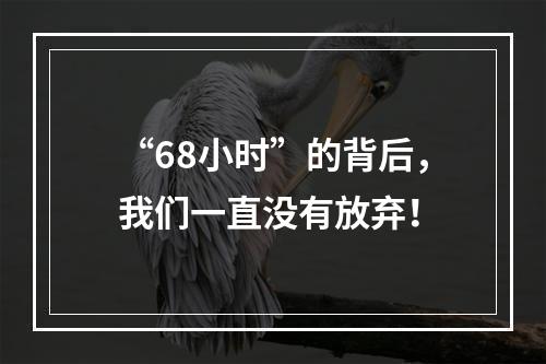 “68小时”的背后，我们一直没有放弃！