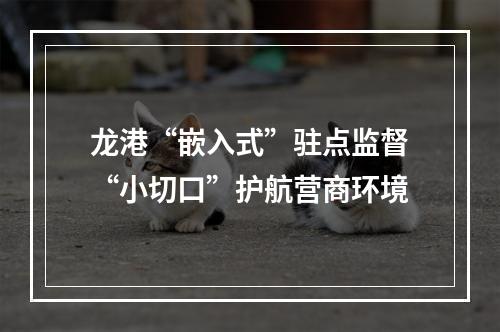 龙港“嵌入式”驻点监督“小切口”护航营商环境