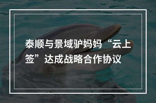 泰顺与景域驴妈妈“云上签”达成战略合作协议
