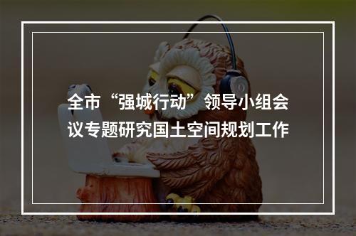 全市“强城行动”领导小组会议专题研究国土空间规划工作