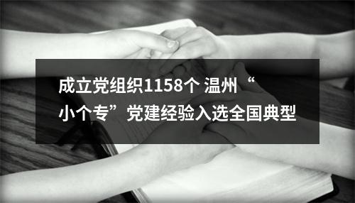 成立党组织1158个 温州“小个专”党建经验入选全国典型