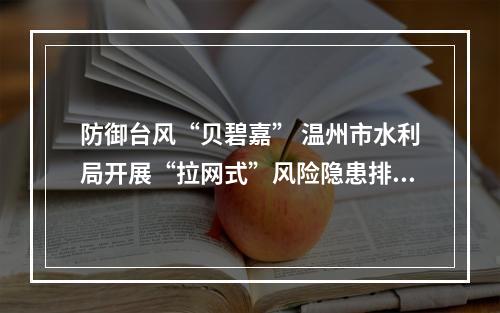 防御台风“贝碧嘉” 温州市水利局开展“拉网式”风险隐患排查