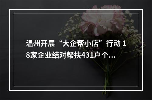 温州开展“大企帮小店”行动 18家企业结对帮扶431户个体户