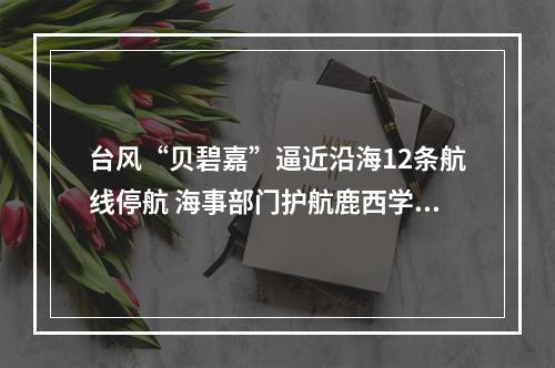 台风“贝碧嘉”逼近沿海12条航线停航 海事部门护航鹿西学子归家